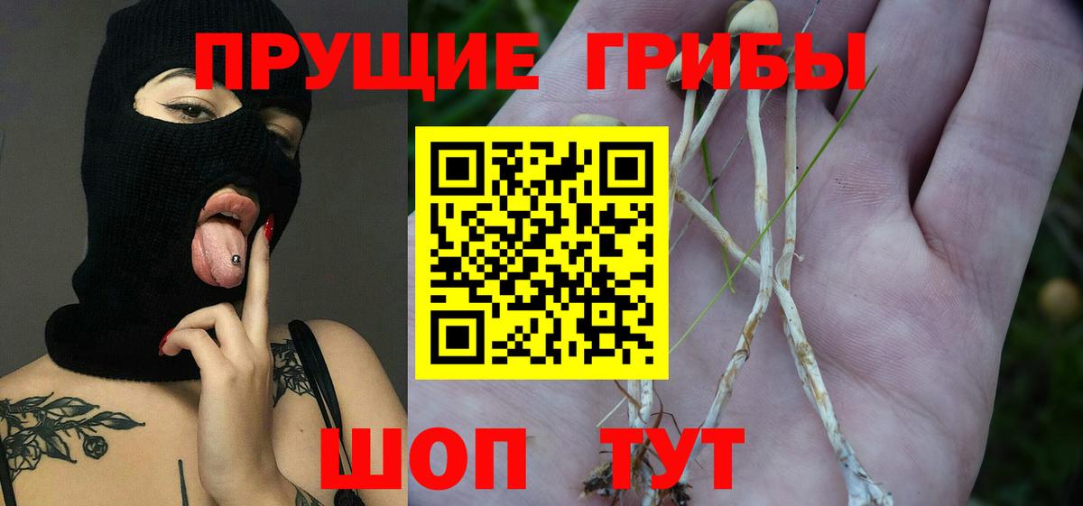 Галлюциногенные грибы Cubensis  Псилоцибиновые грибы Magic Shrooms  Вход с VPN  Люберцы 